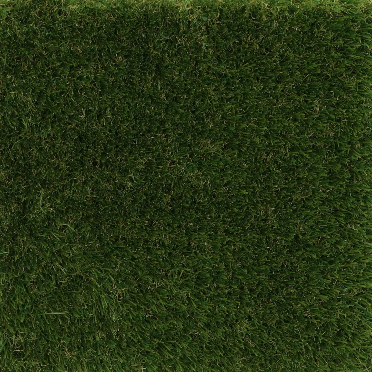 Visiegrass Oldham 35mm