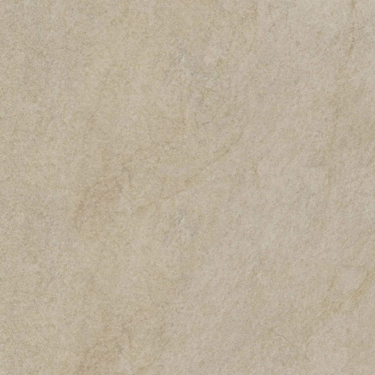 Keramische Tegel Buffalo 60x60x2cm doos a 2 stuks