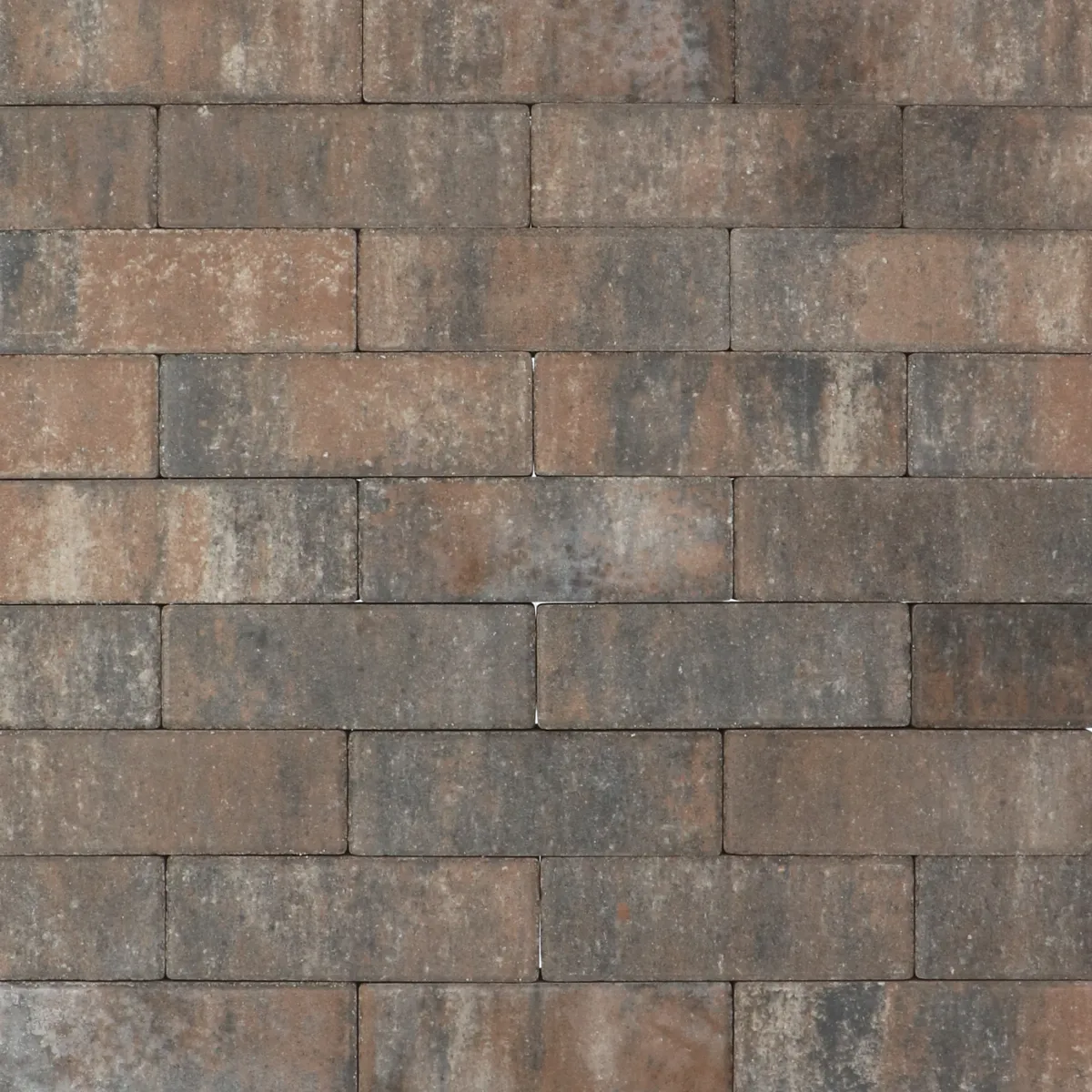 Tremico Texels Bont DF 6cm