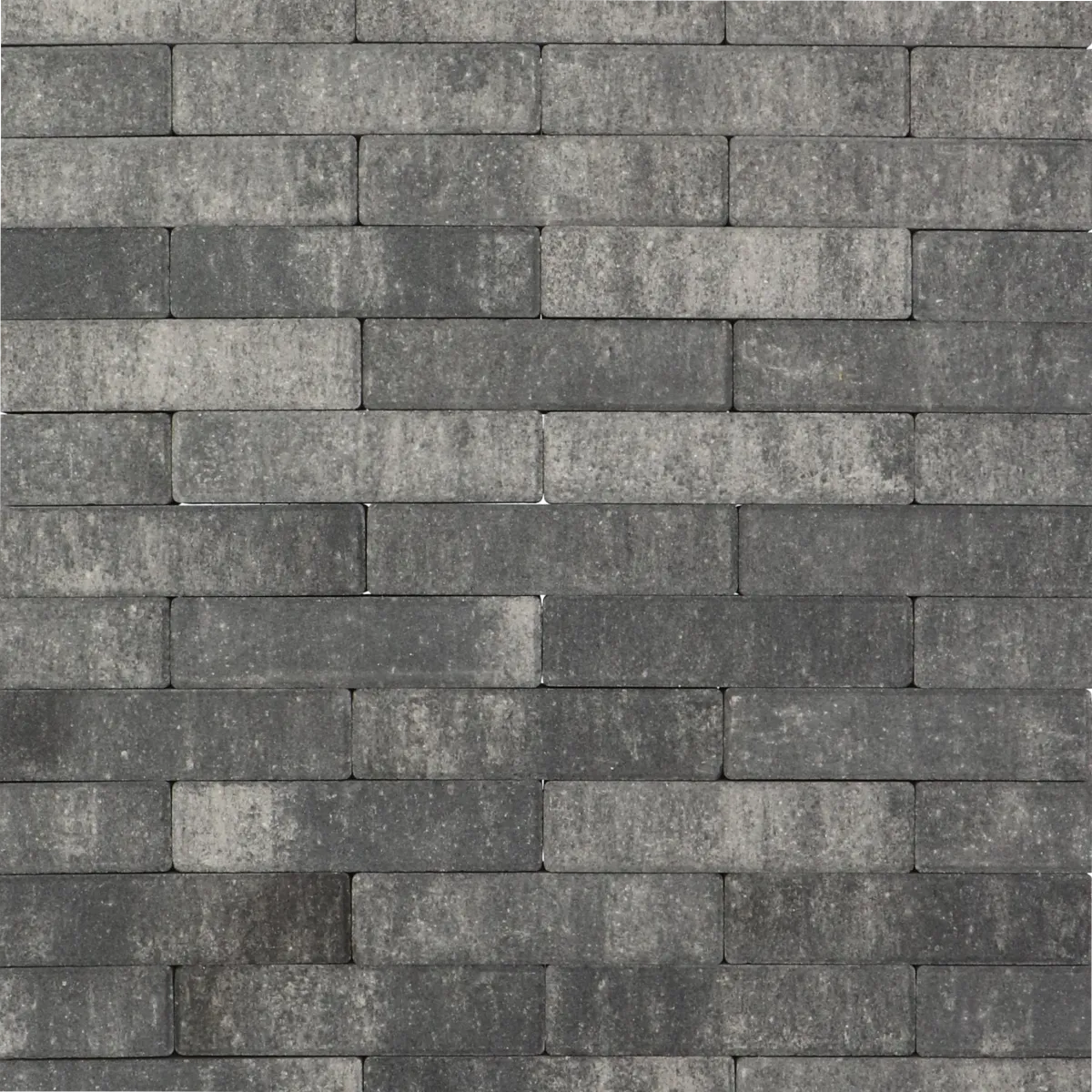 Tremico Zeeuws Bont WF 6cm