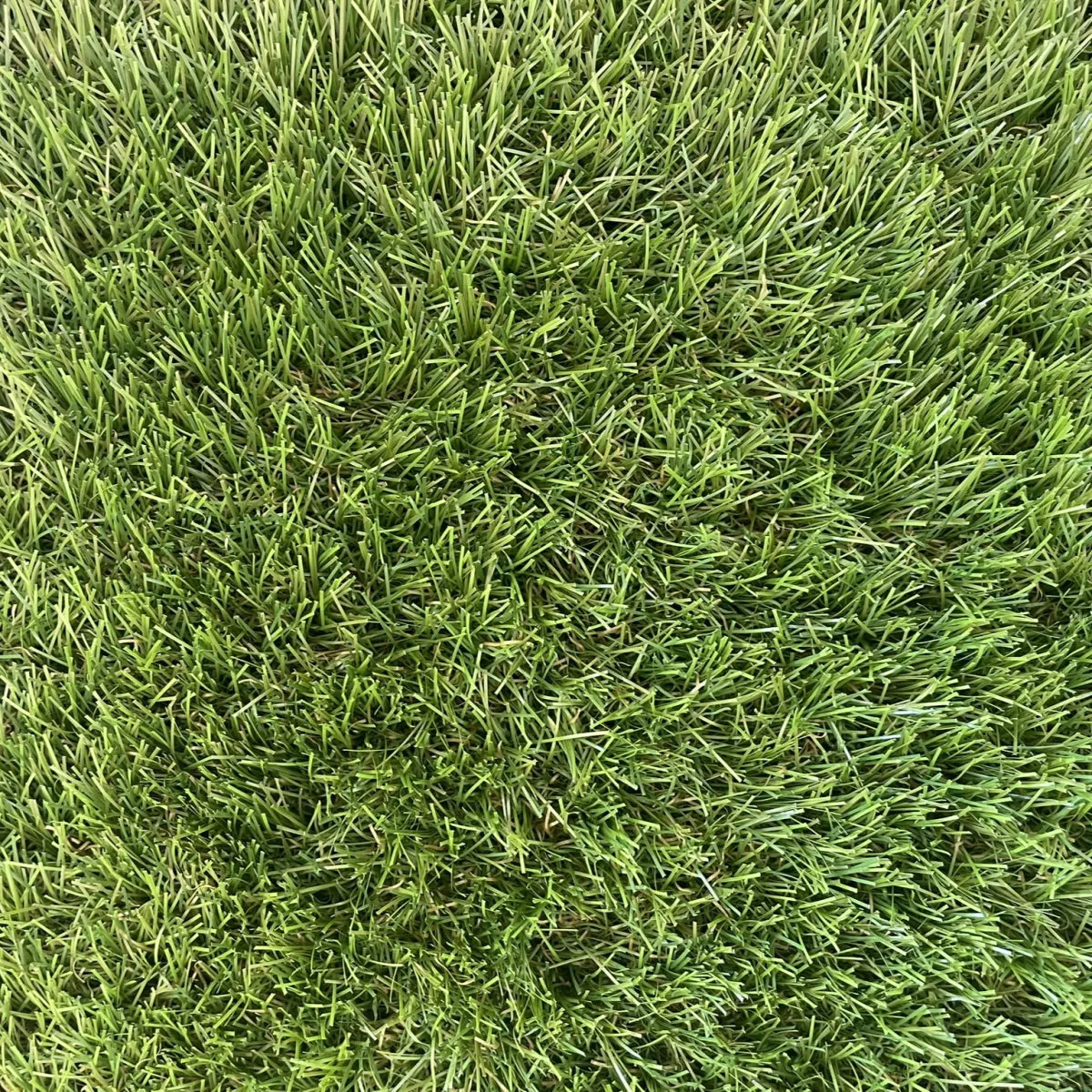 Visiegrass Anfield 30mm 4mtr p/m1