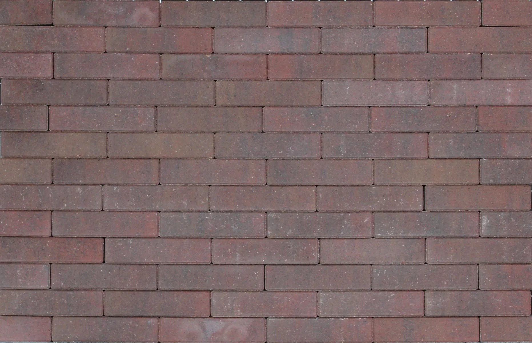 Tremico Oud Bont WF 6cm