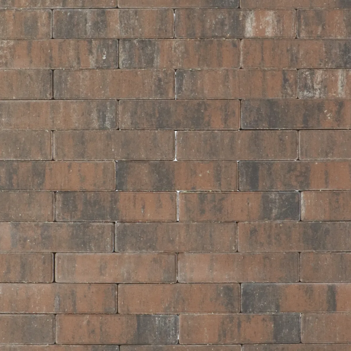 Tremico Texels Bont WF 6cm